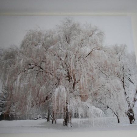 Longview House Bed and Breakfast Ballymoney Exteriör bild