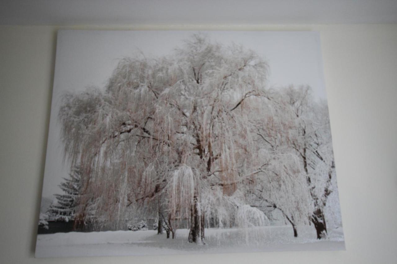 Longview House Bed and Breakfast Ballymoney Exteriör bild